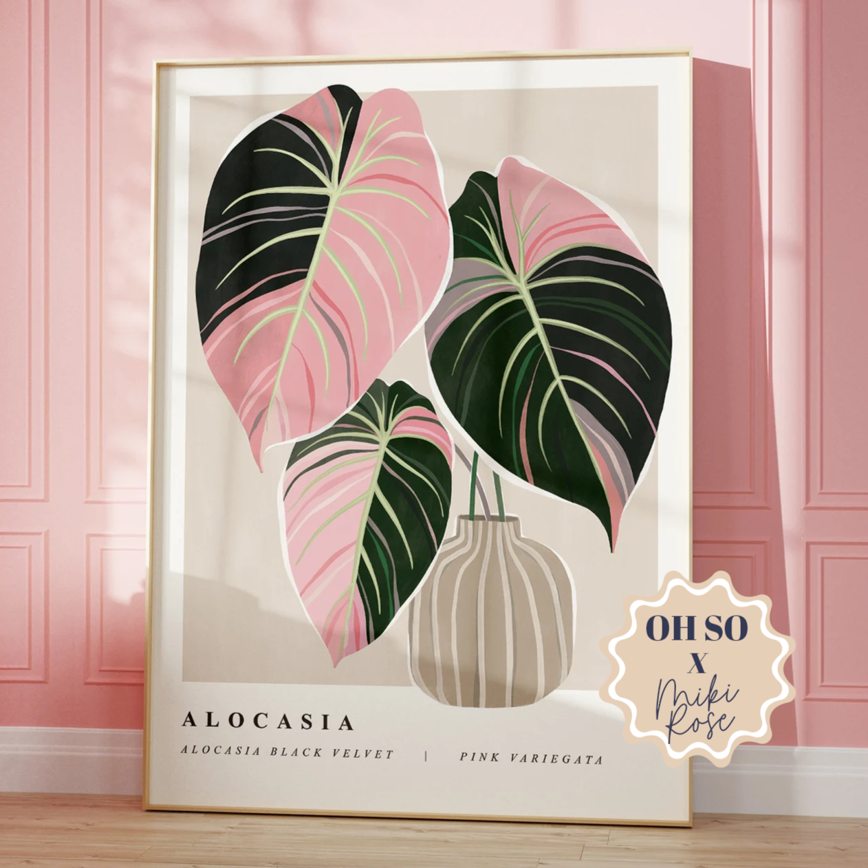 Alocasia Black Pink Velvet A3 Print