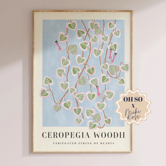 Ceropegia Woodi A2 Print