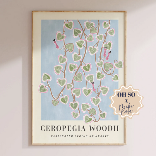 Ceropegia Woodi A3 Print