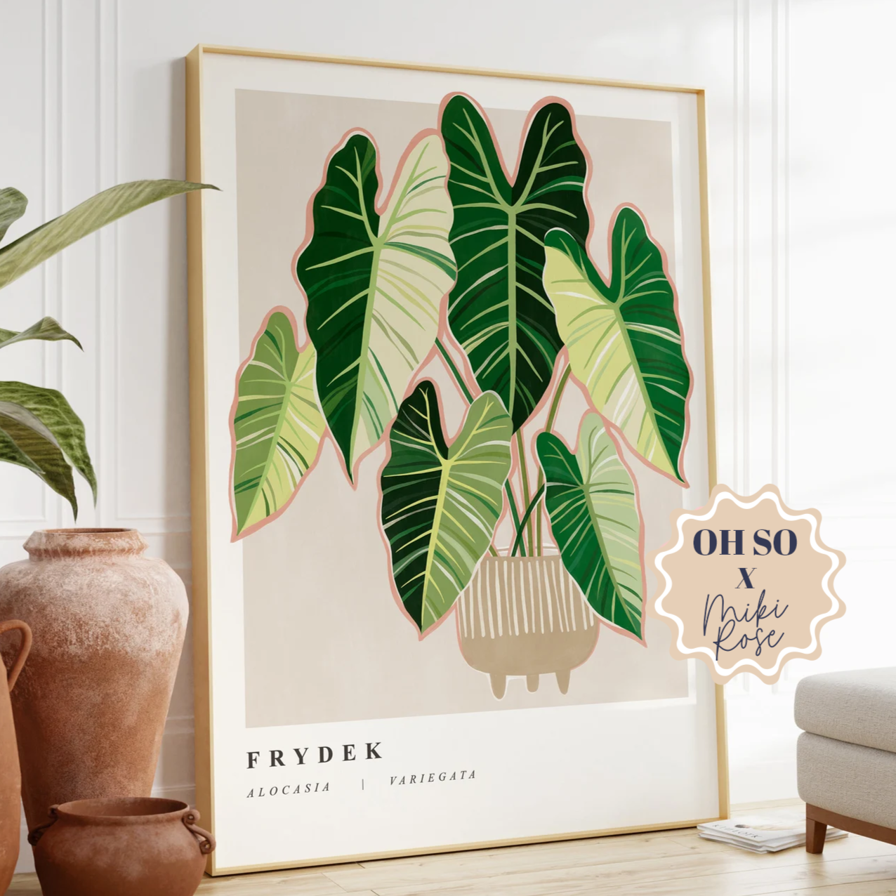 Alocasia Frydeck Variegated A3 Print