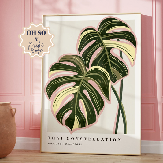 Monstera Thai Constellation A2 Print