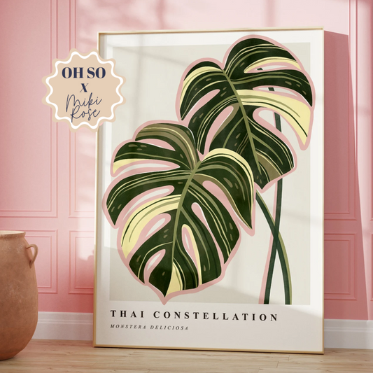 Monstera Thai Constellation A3 Print