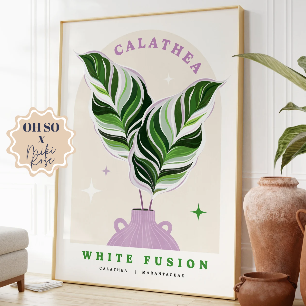 Calathea White Fusion Print A3 Print