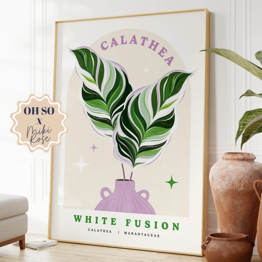 Calathea White Fusion Print A2 Print